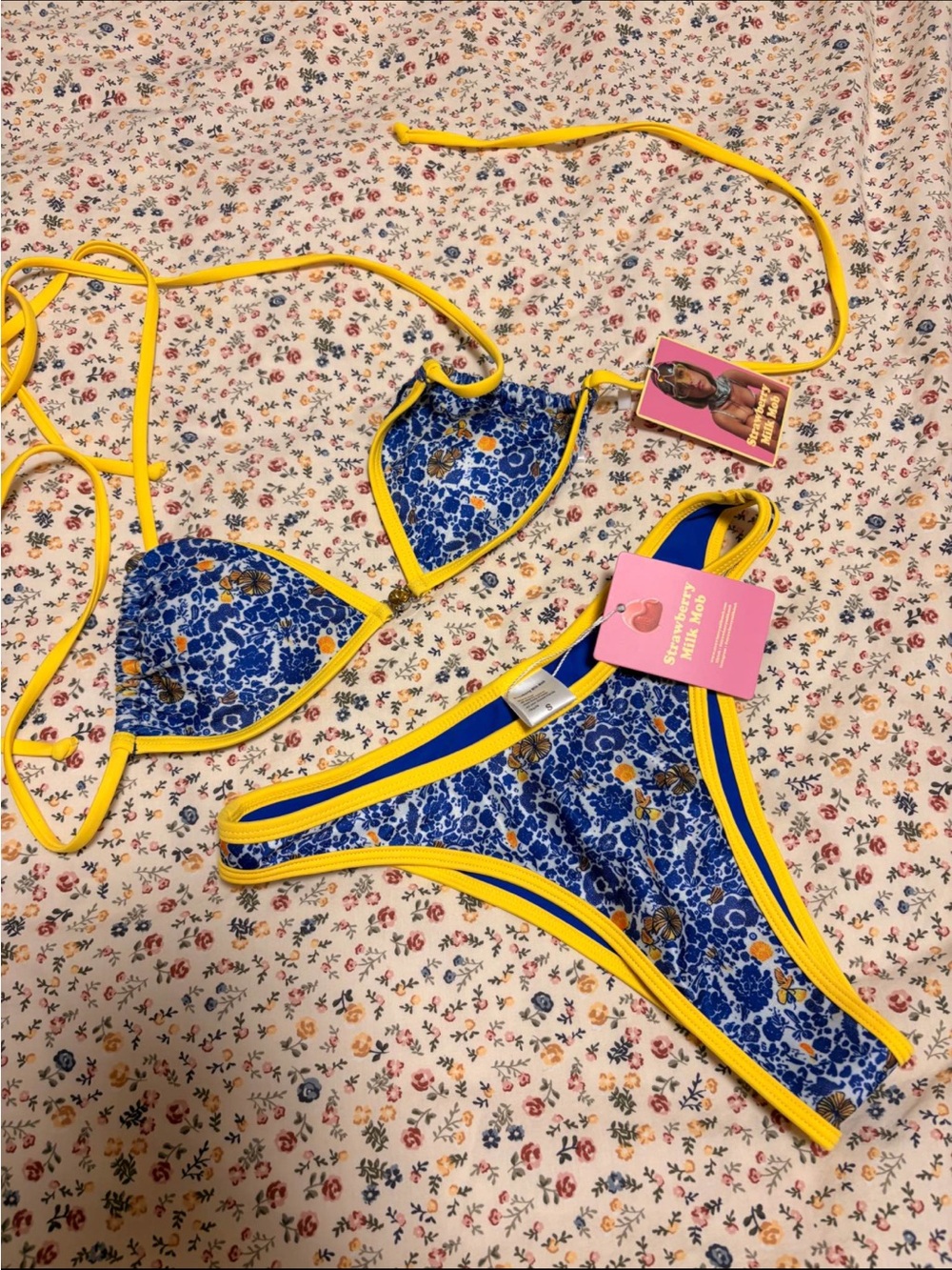 Strawberry Milk Mob Bikini Set